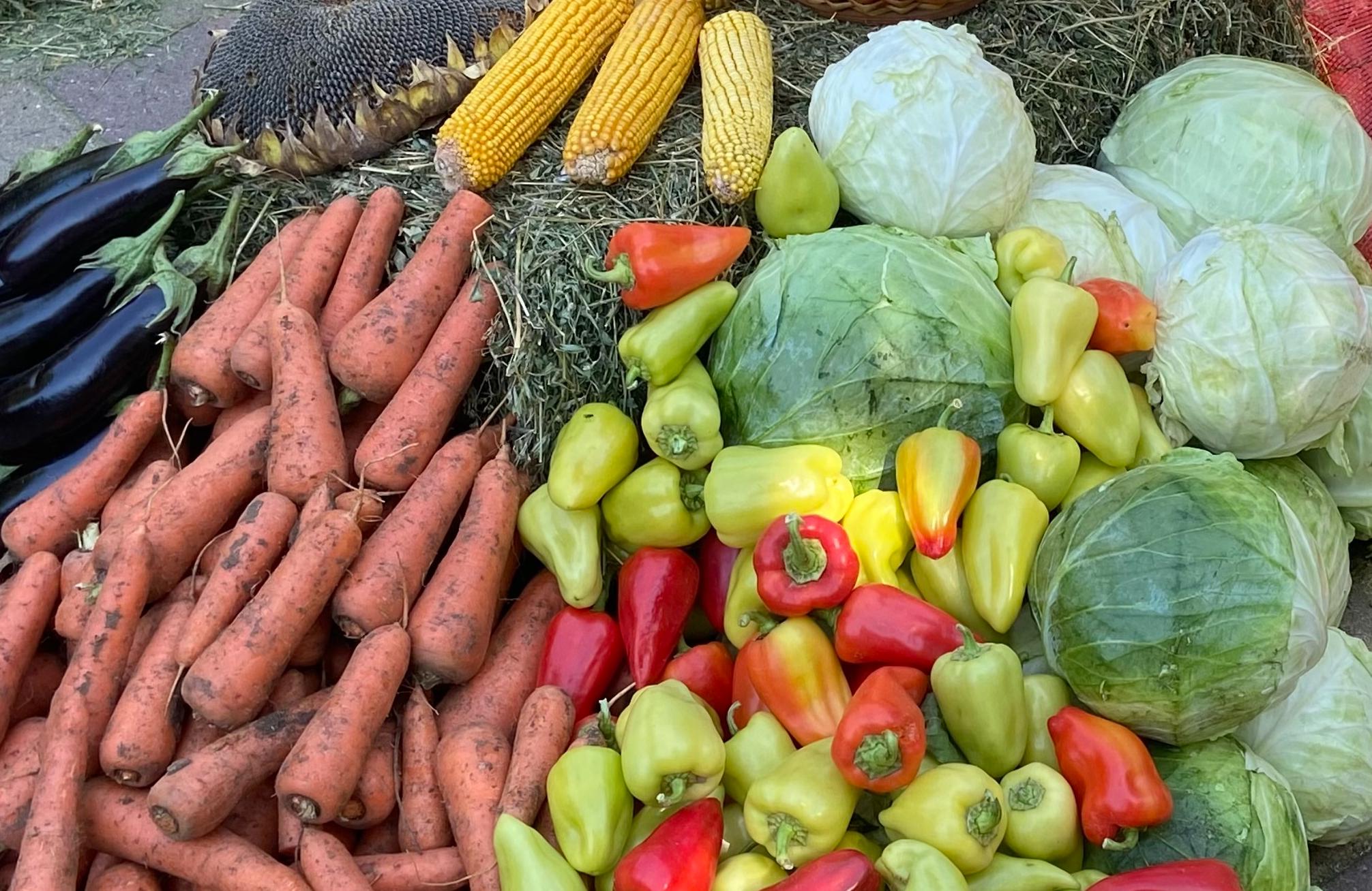 Сельское хозяйство КБР. Овощи открытого грунта. Сельское хозяйство Узбекистана с овощами. Производство овощей. Урожайность овощей