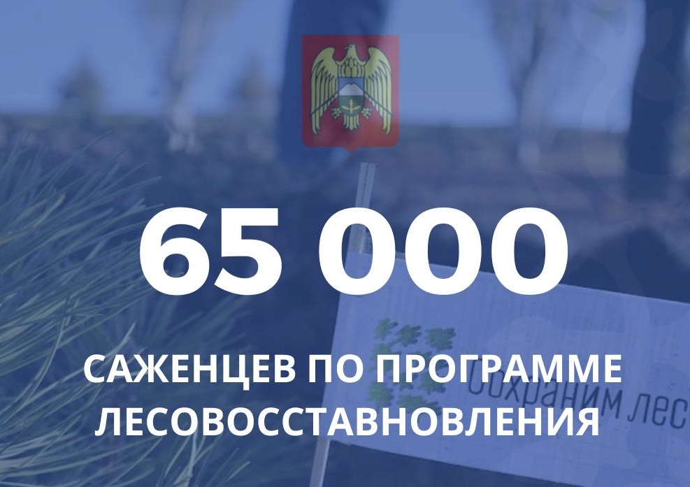 В Кабардино-Балкарии идет восстановление лесов