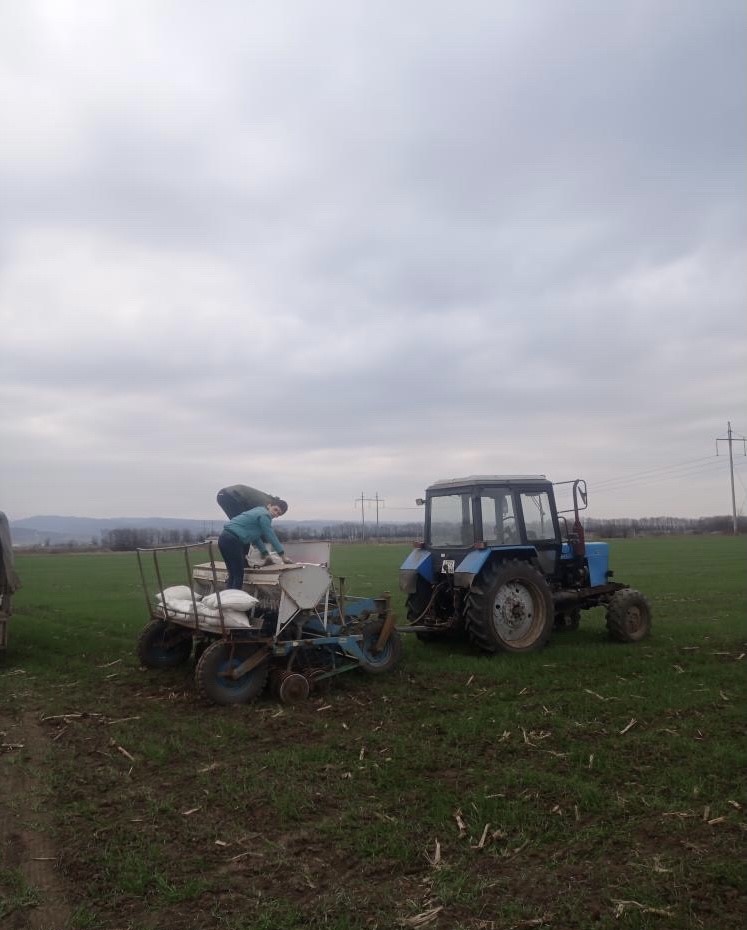 В КБР закладывают участки для селекции