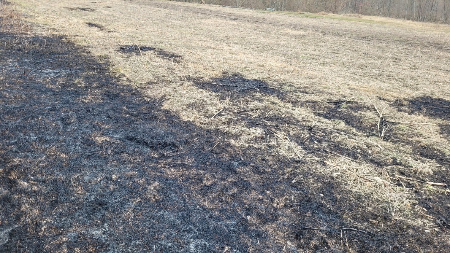 Десять земельных участков сельхозназначения заросли сорняками в Прохладненском районе