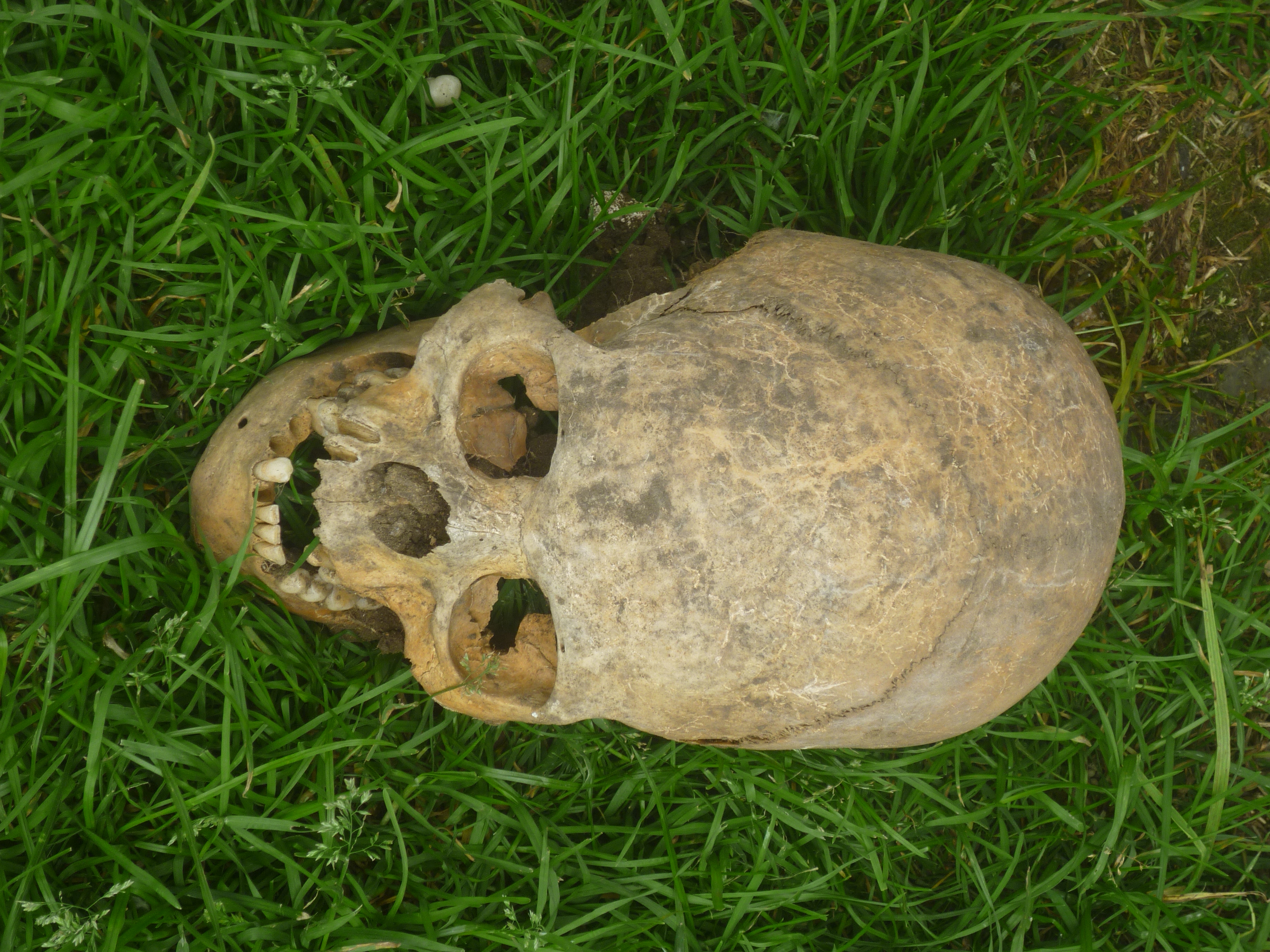 На «Кладбище нартов» найдены захоронения длинноголовых людей