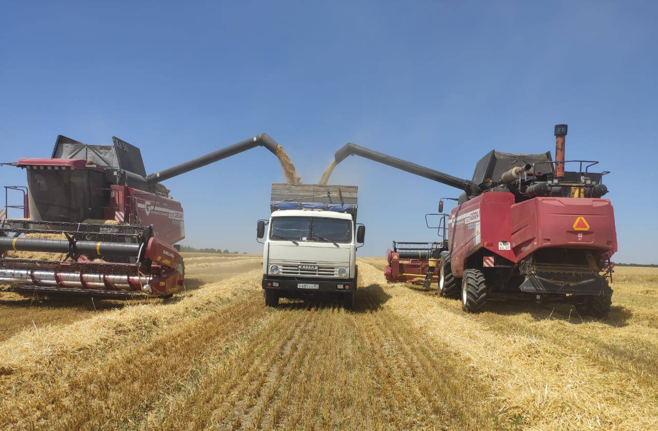 В Зольском районе началась уборка зерновых колосовых культур