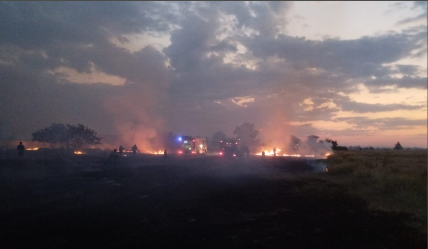 В девяти районах Кабардино-Балкарии введен особый противопожарный режим  