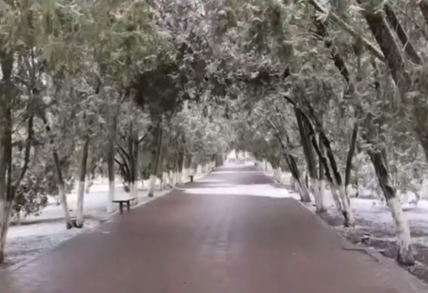 В Прохладном благоустроят два общественных пространства  