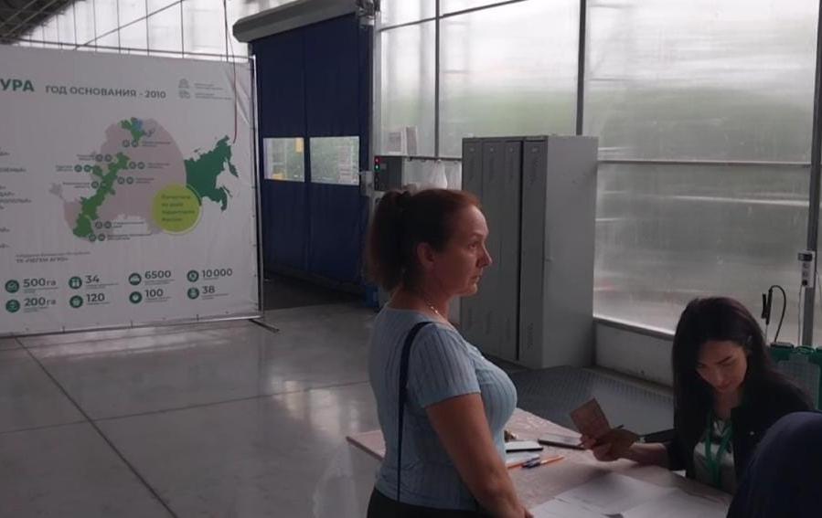 Работники тепличного комплекса «Эко-Культура» голосуют на рабочем месте  