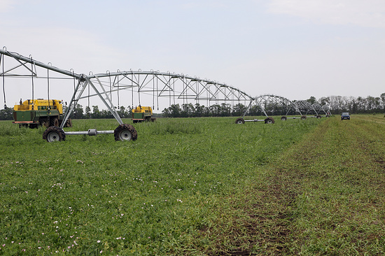 Кабардино-Балкария входит в первую пятерку лидеров России по площади орошаемых земель