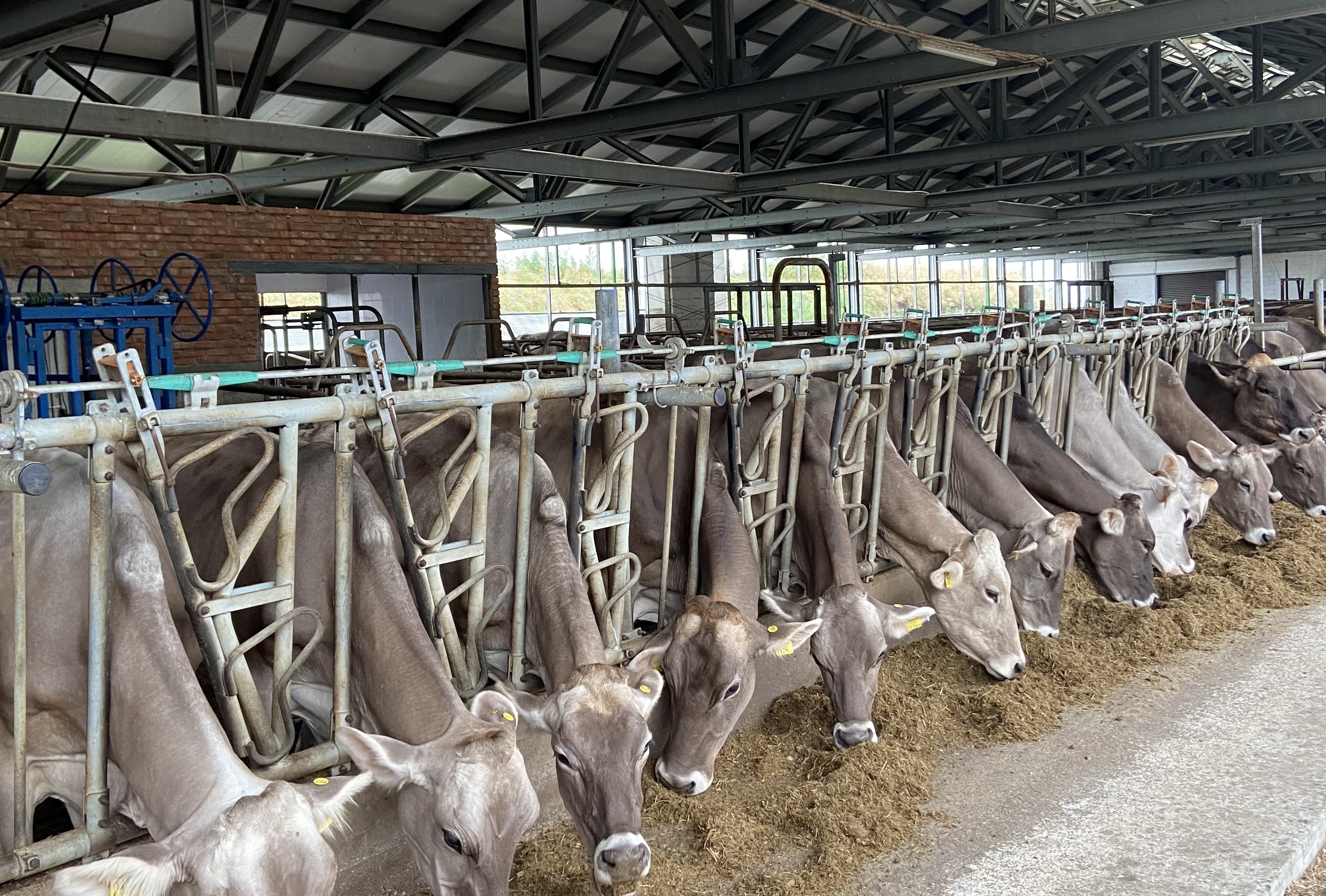 В Кабардино-Балкарии объем производства сельхозпродукции за первое полугодие вырос на 2,3%