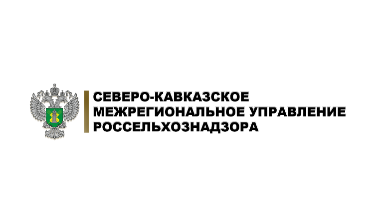 В преддверии посевной кампании семена пшеницы из Кабардино-Балкарии направлены в регионы страны