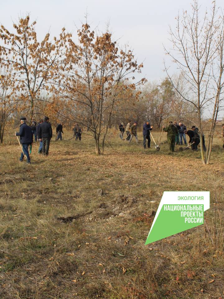 В рамках федерального проекта "Чистая страна" продолжаются работы по устранению свалки и захоронению твердых коммунальных отходов