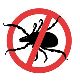 В КБР не отмечено случаев заболеваний, связанных с укусами клещей