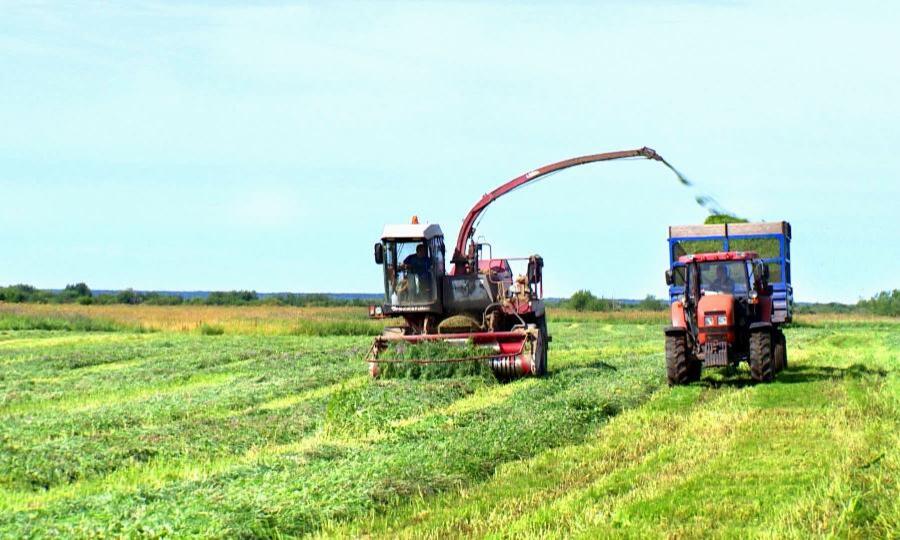 Кормозаготовительная кампания в Кабардино-Балкарии проходит в штатном режиме