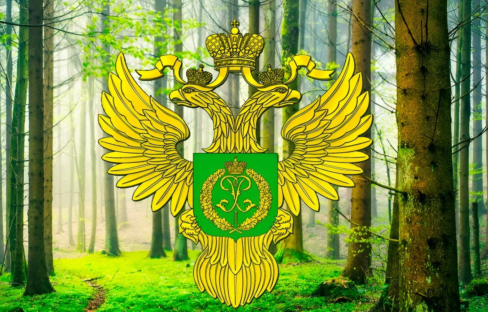 Рослесхоз: финансирование лесного хозяйства ЮФО и СКФО увеличено на 17%