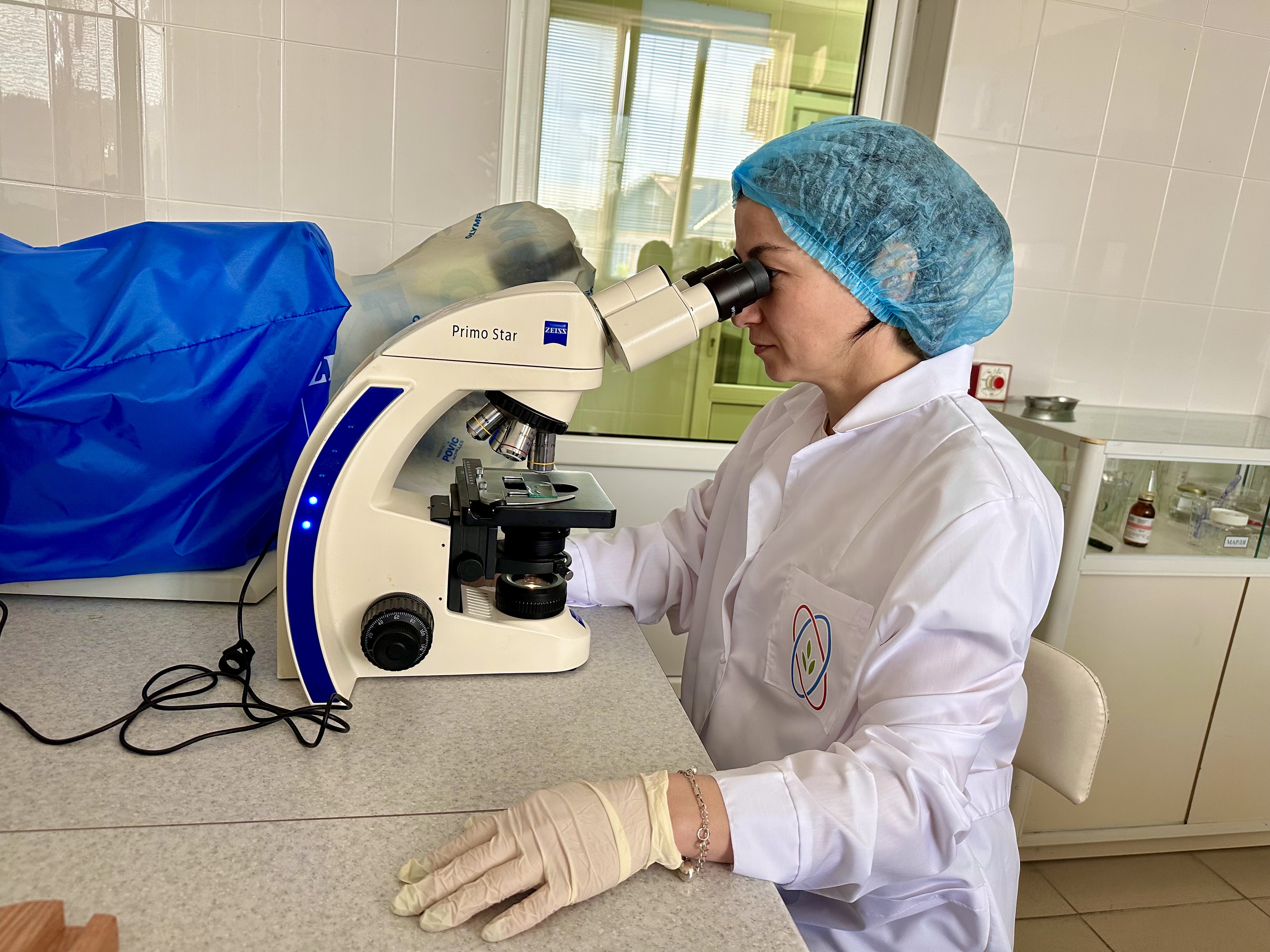 Инфекционная бурсальная болезнь (болезнь Гамборо)      