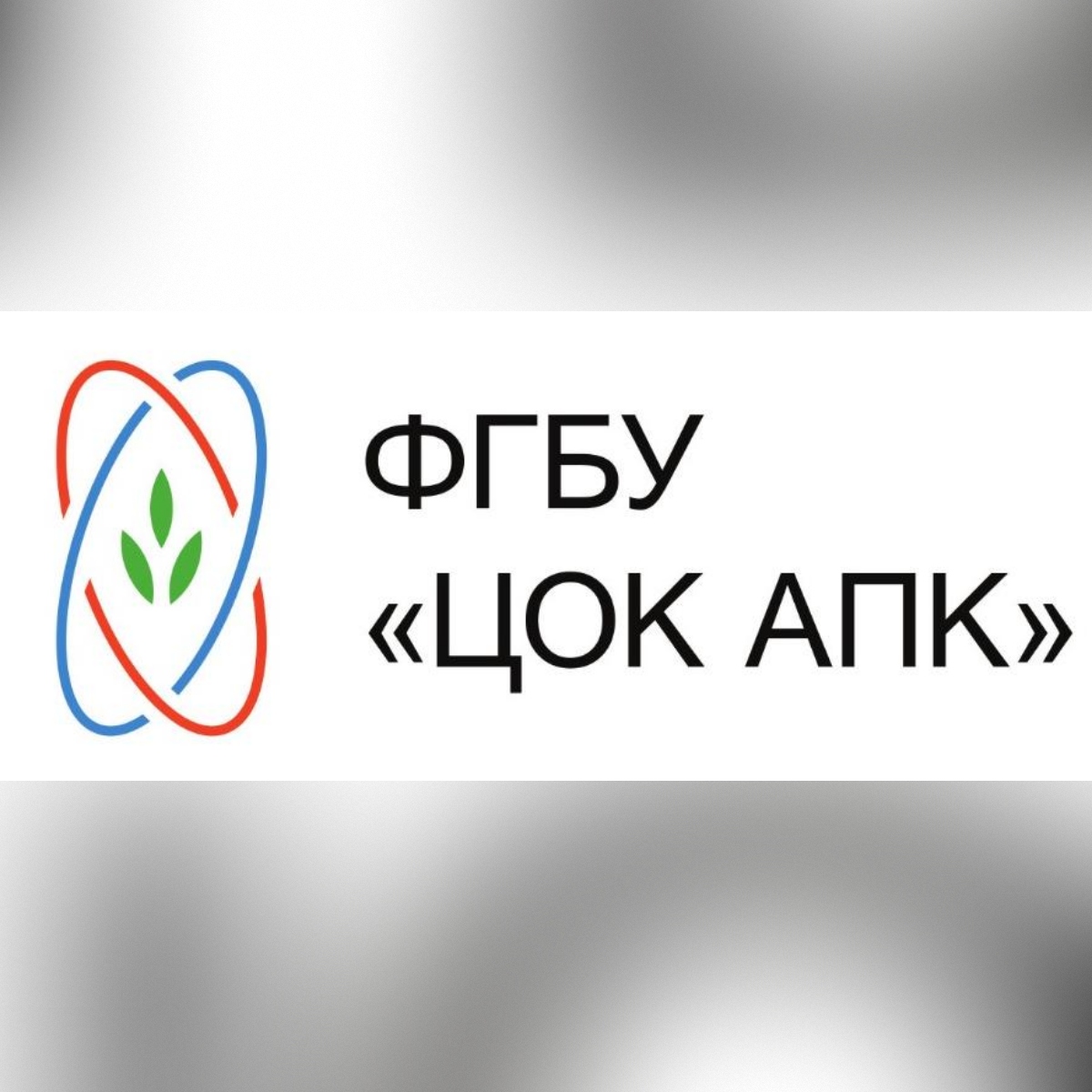 200 тонн продовольственной кукурузы в КБР были исследованы специалистами по продовольственной безопасности