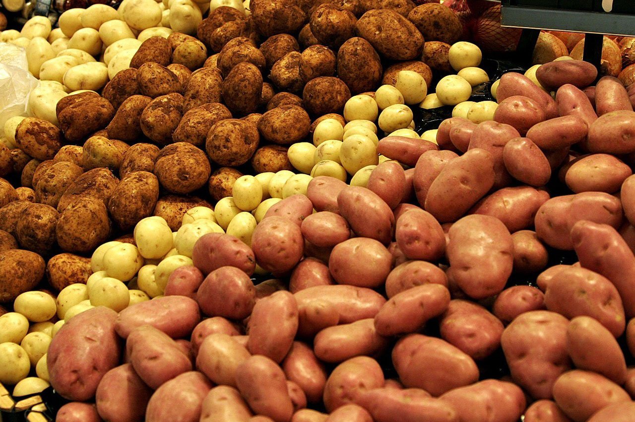 В Кабардино-Балкарии урожайность и валовой сбор картофеля выросли на 16%