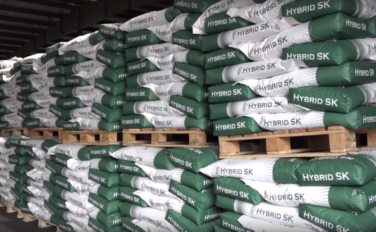 Кабардино-Балкария резко увеличила экспорт семян кукурузы 