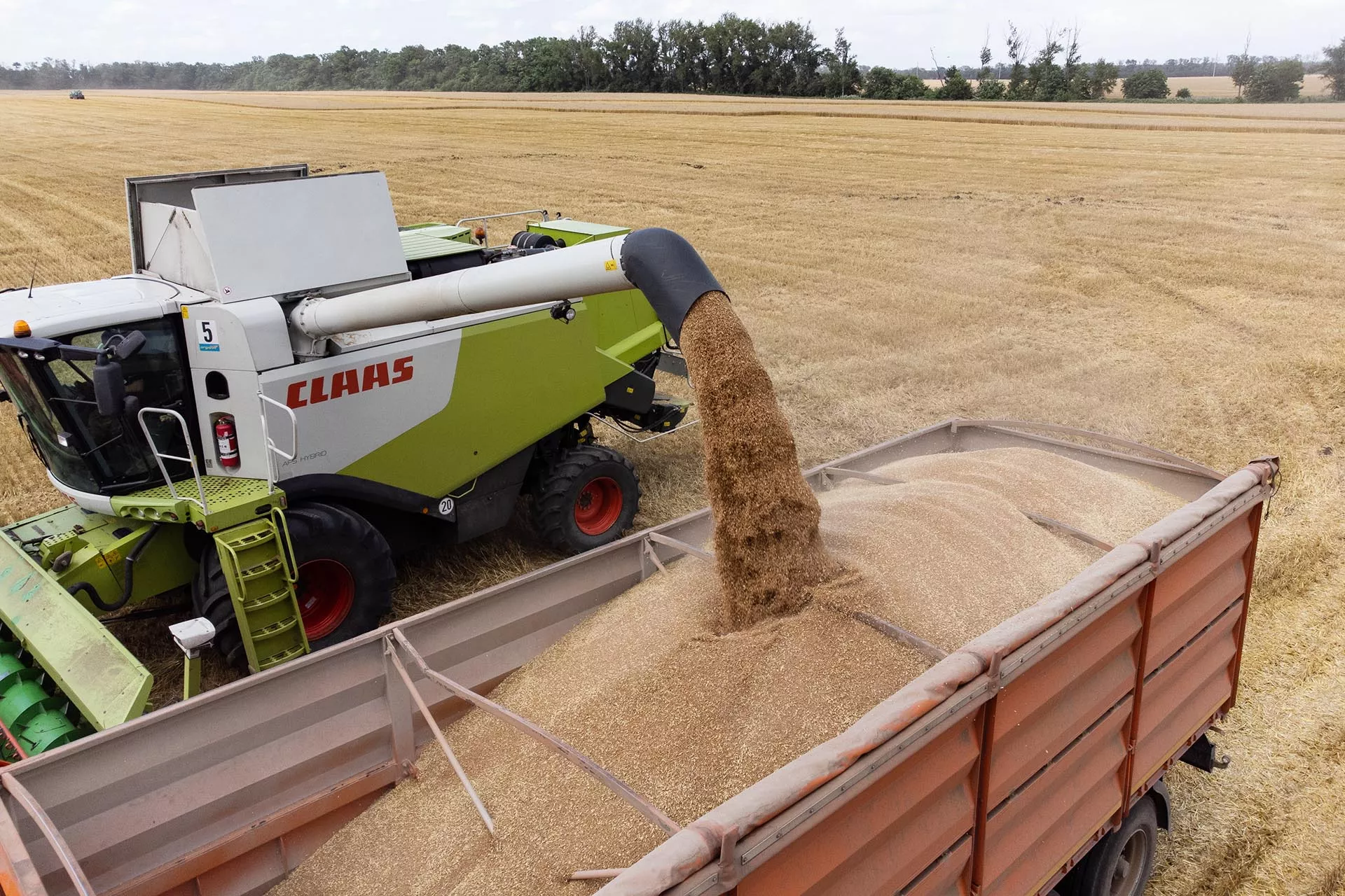 Владимир Путин: Россия полностью обеспечивает себя продовольствием