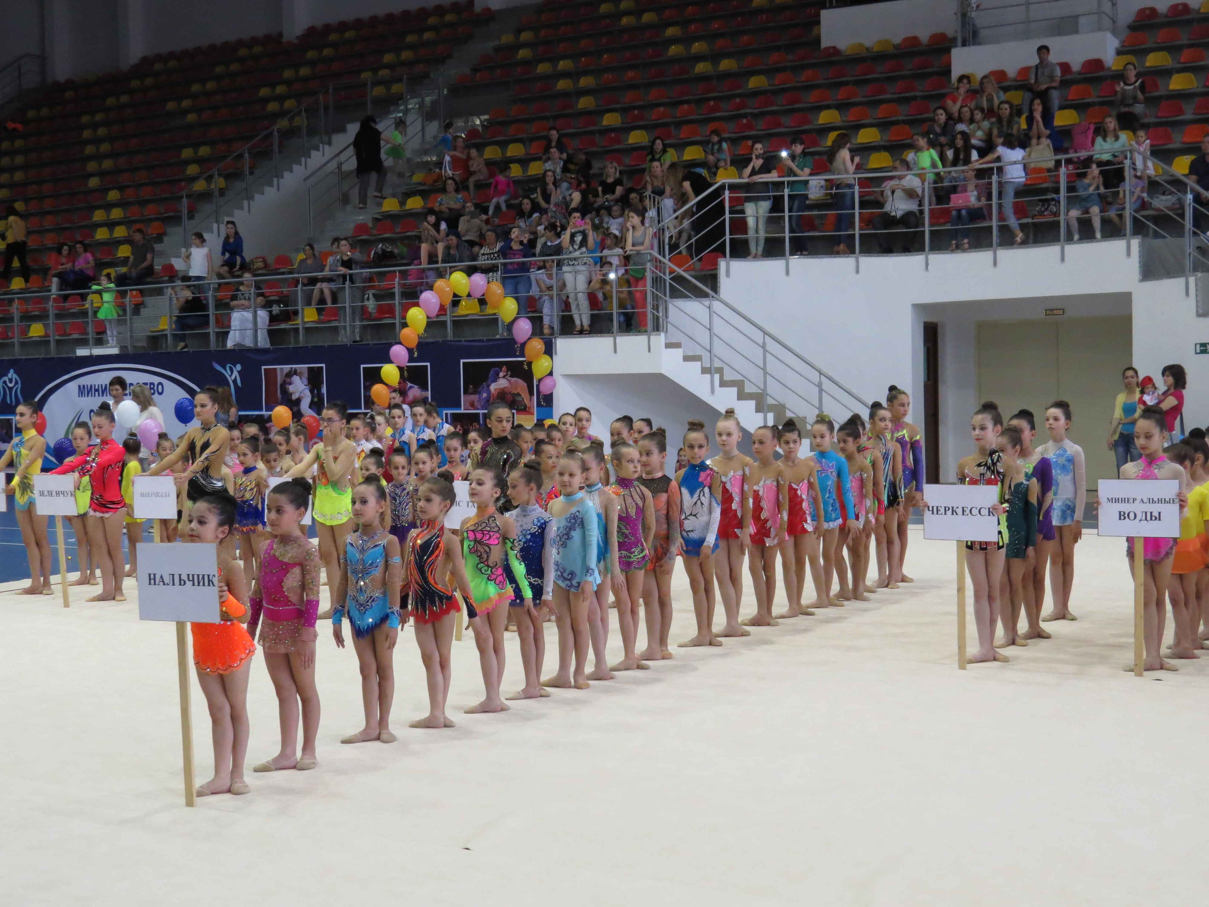 В Нальчике открыт праздник гимнастики