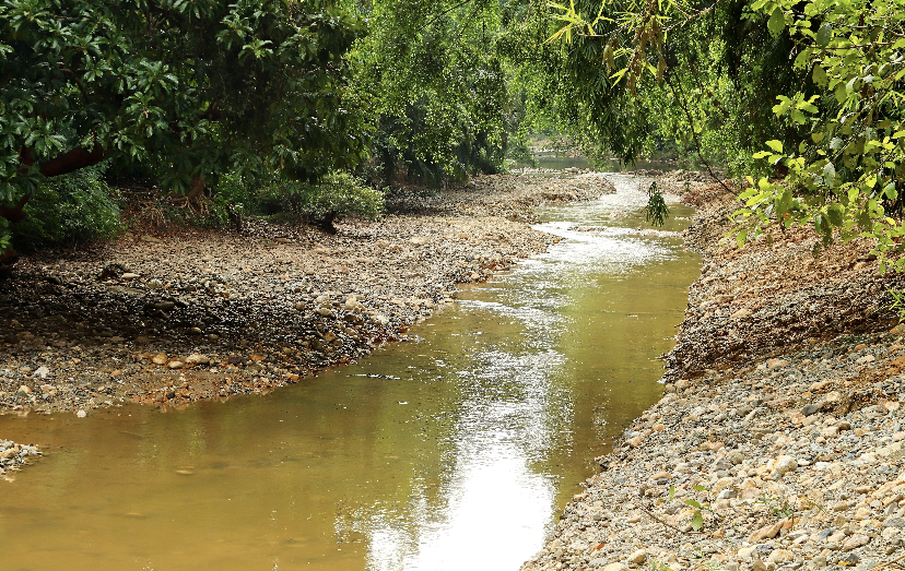 В Заюково проведена очистка арычного канала