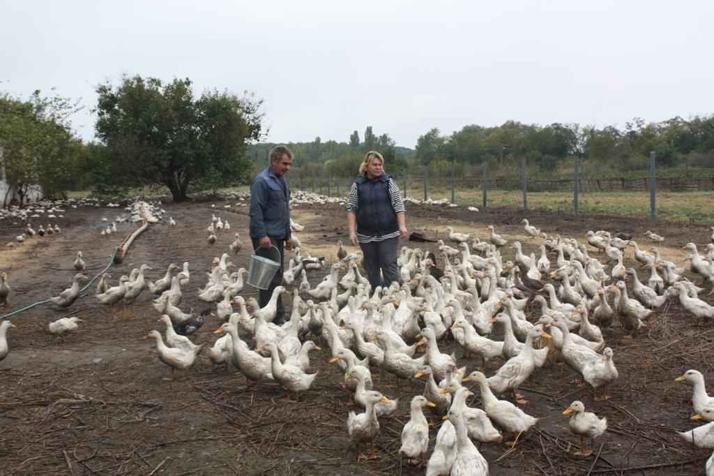 В сельхозкооперативе «Красная нива» идет реконструкция птичника
