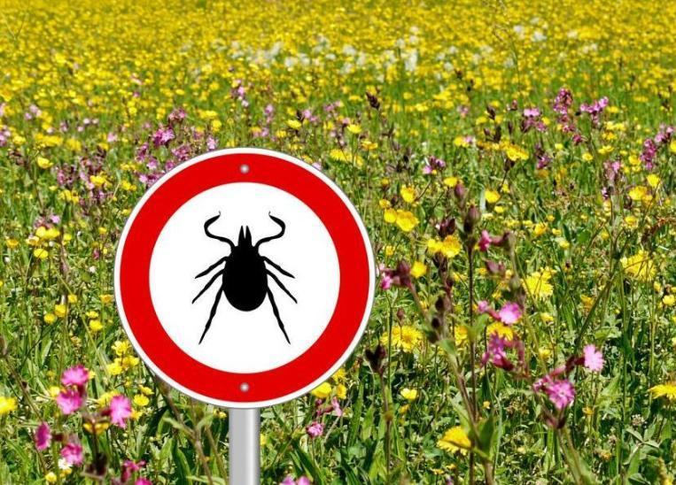 Профилактика клещевого энцефалита