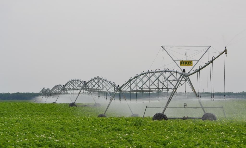 Весенняя посадка многолетних плодово-ягодных насаждений