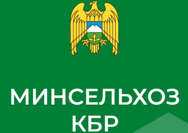 В Кабардино-Балкарии началась уборка подсолнечника