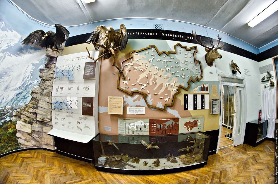 Ученые сделали экспонаты Национального музея КБР доступнее