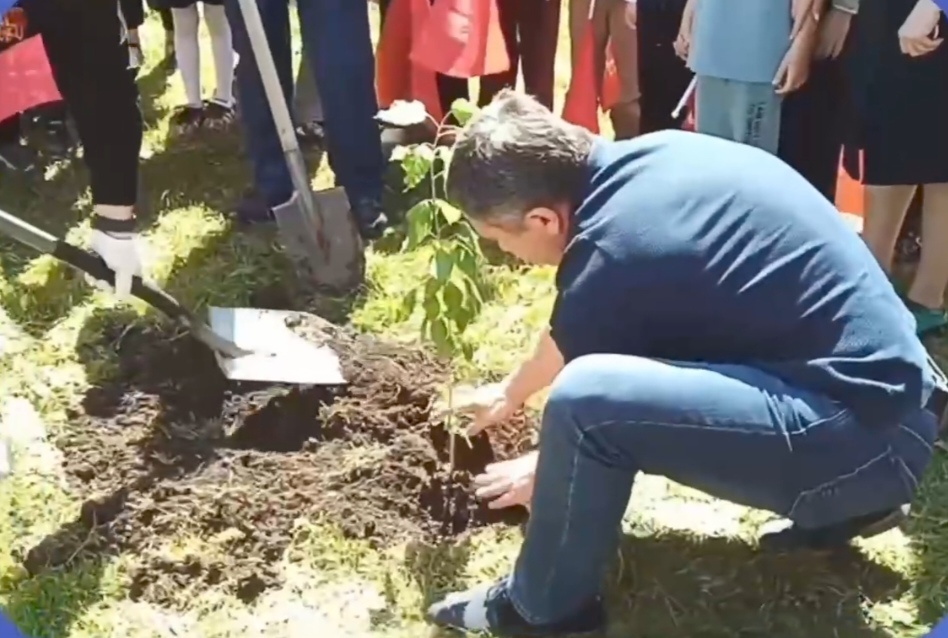 В Нальчике посадили саженец легендарного «Тополя Победы» 