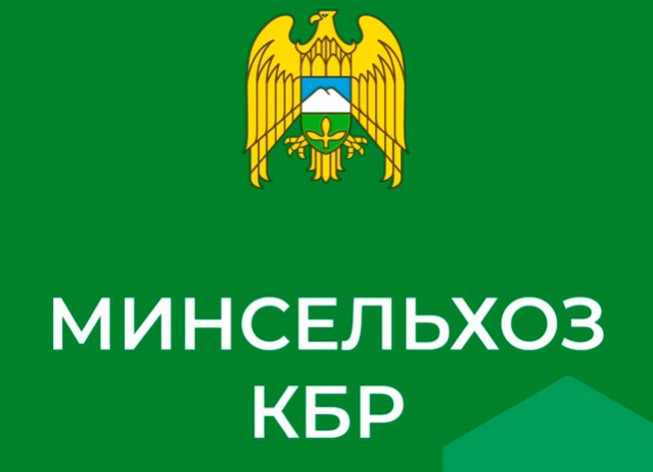 Урожай зерновых в Кабардино-Балкарии превысил 1,2 млн тонн