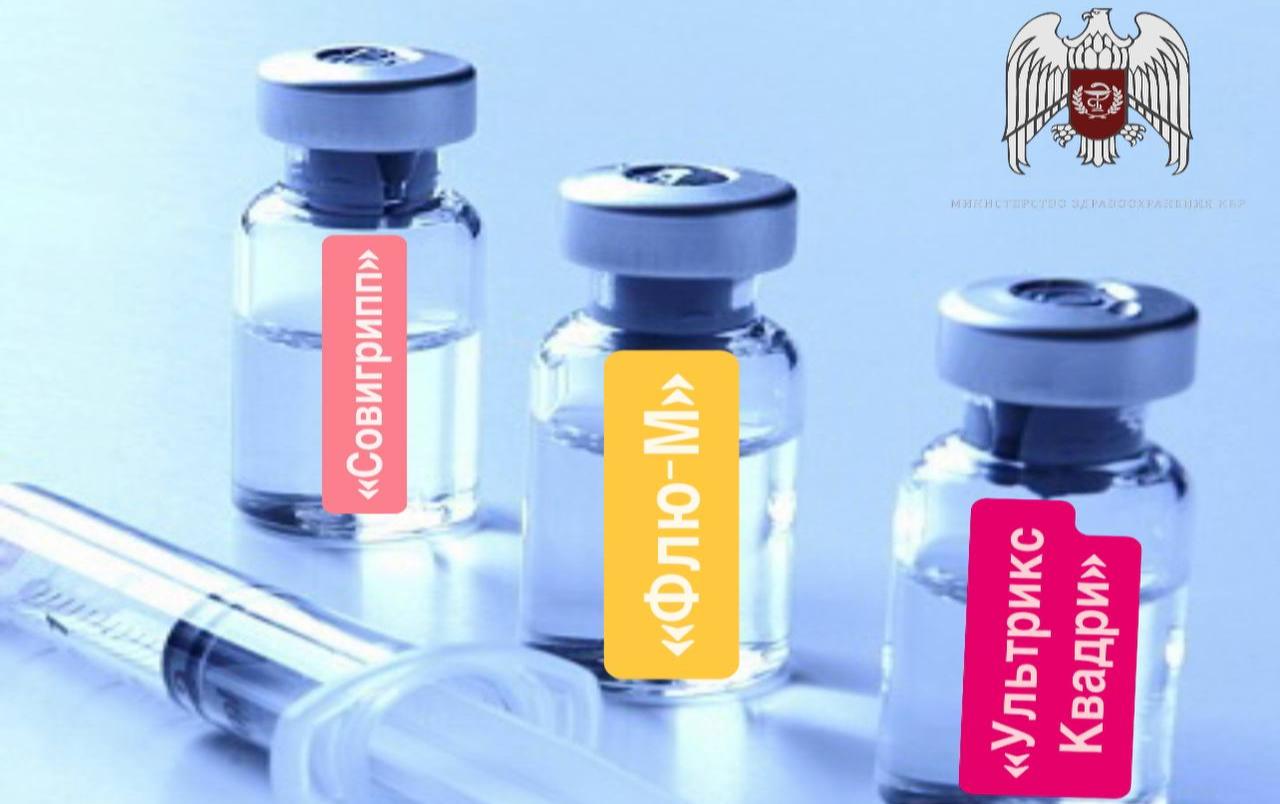 Медики КБР призывают жителей сделать прививку от гриппа  