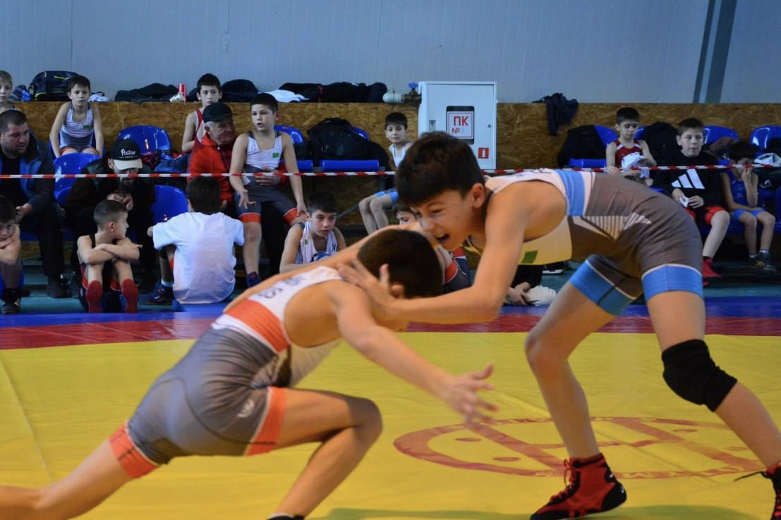 Фестиваль боевых искусств: спорт, сила и единство