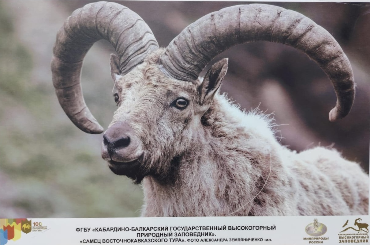 Выставка к 50-летию Кабардино-Балкарского высокогорного природного заповедника