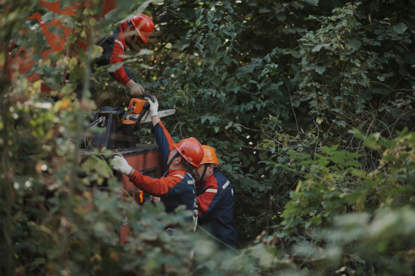 В Кабардино-Балкарии расчистят от поросли почти 74 га трасс линий электропередачи