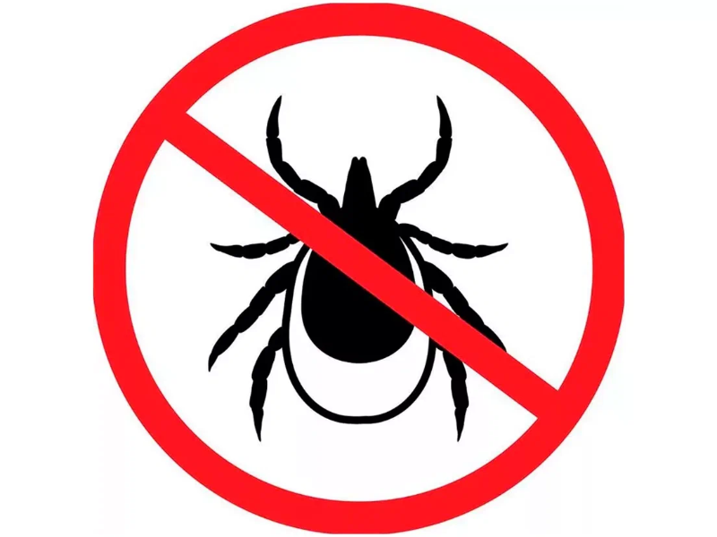 В КБР проводят акарицидную обработку территорий