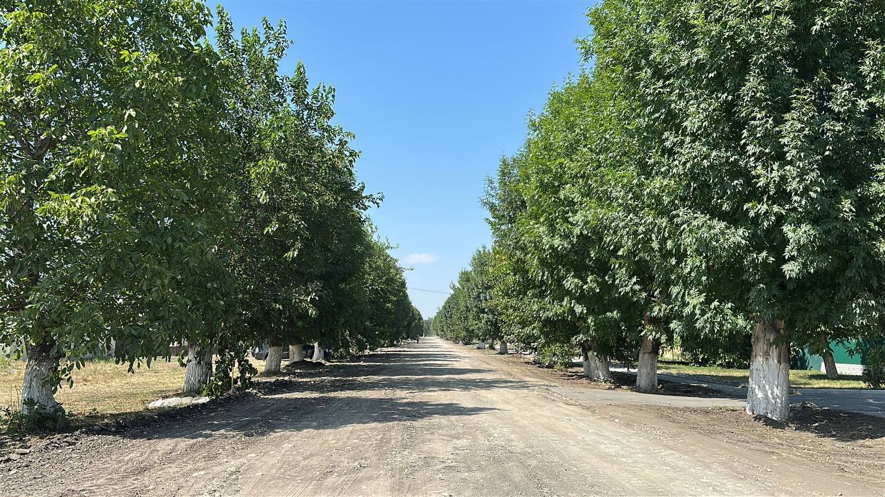 В Кременчуг-Константиновском ремонтируют центральную улицу