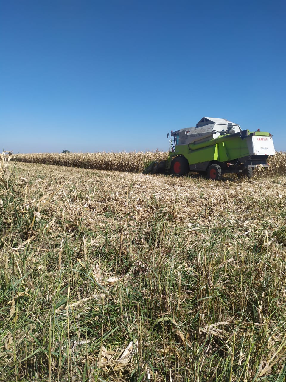В Урванском районе идет уборка кукурузы
