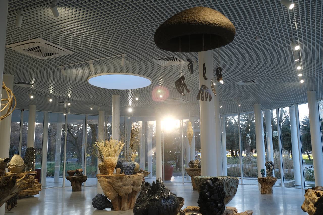 Выставка "Движение формы" в Нальчике 