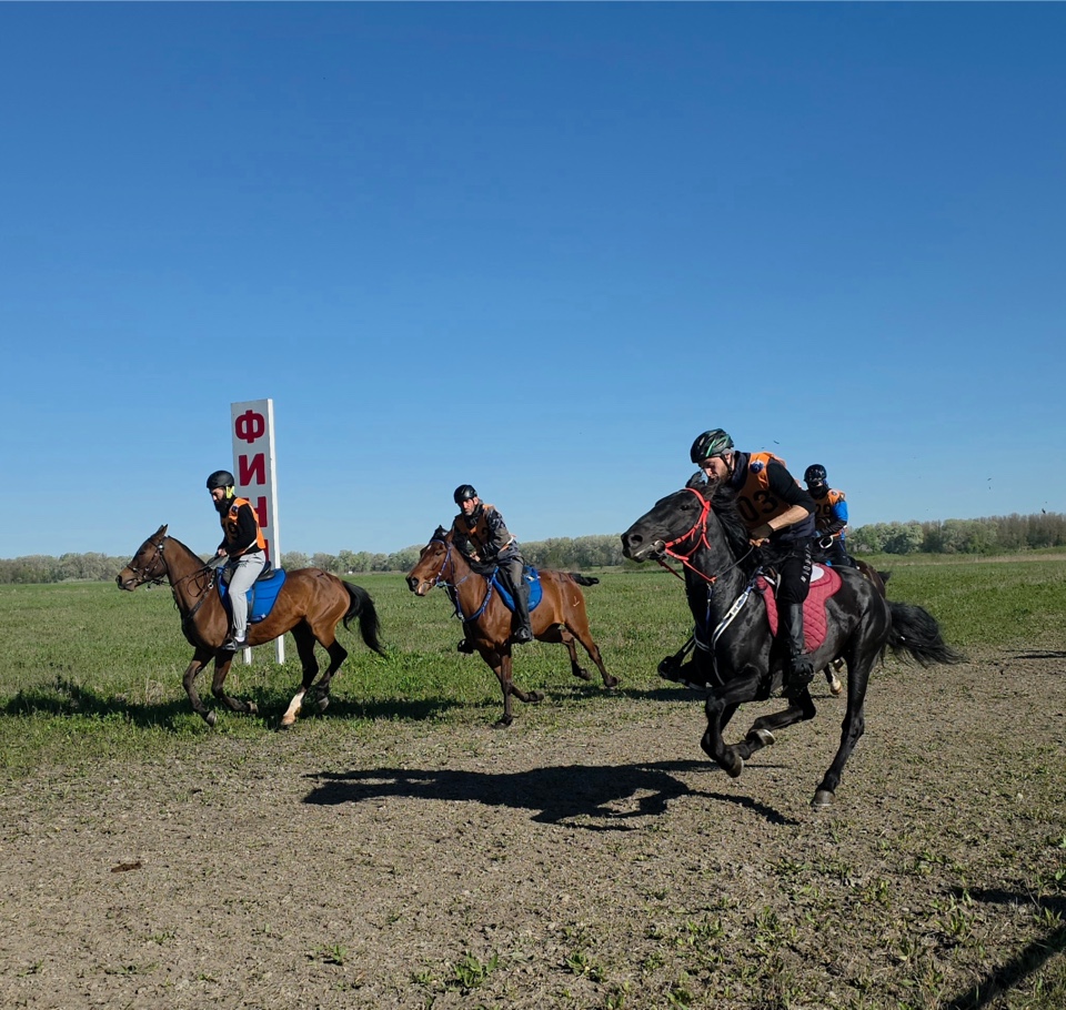 Пробег на рекорд