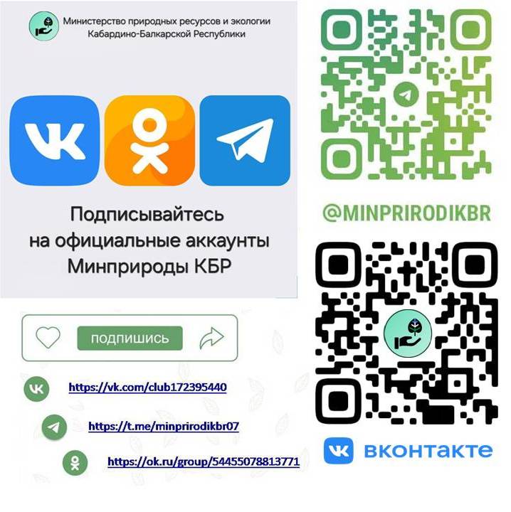 Всё самое интересное на страницах социальных сетей Минприроды 