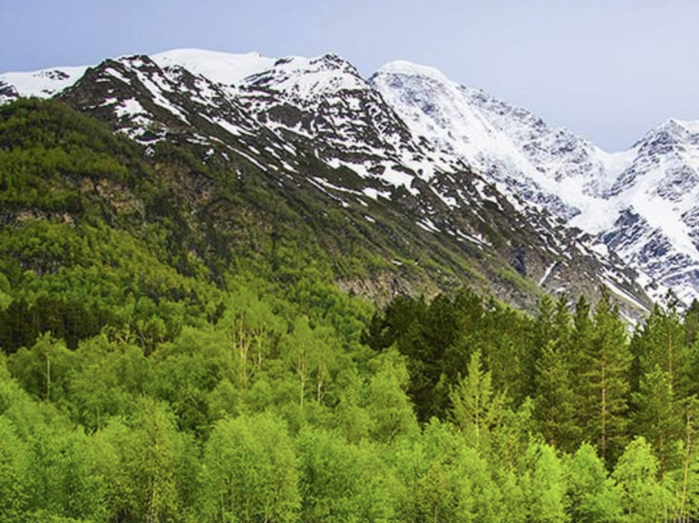 Кабардино-Балкария улучшает свои позиции в экологическом рейтинге