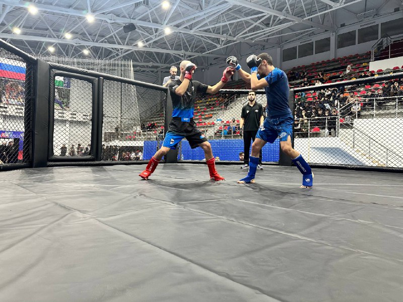 В Нальчике прошел мастерский турнир ММА