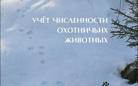 В КБР идет оценка численности охотничьих животных