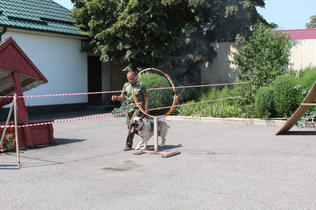 Роствардейцы Кабардино-Балкарии приняли участие в памятных мероприятиях