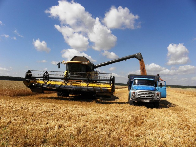 Производители зерна дополнительно получат 10 миллиардов рублей