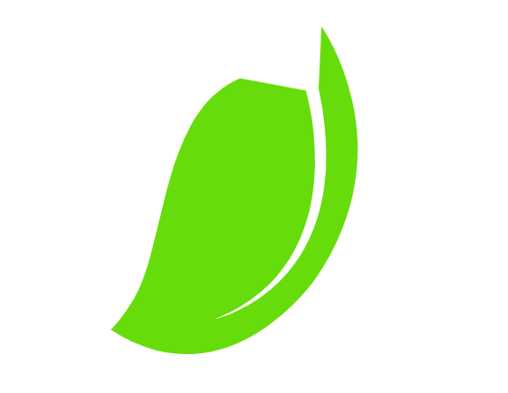 Российский экологический оператор наградил победителей «Зеленой премии – 2025»