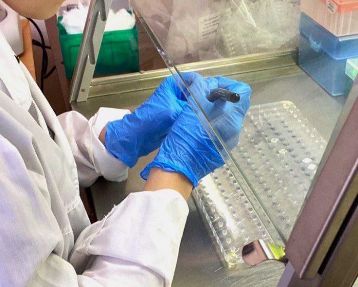 Ученые КБГУ изучили гены долгожителей Кабардино-Балкарии