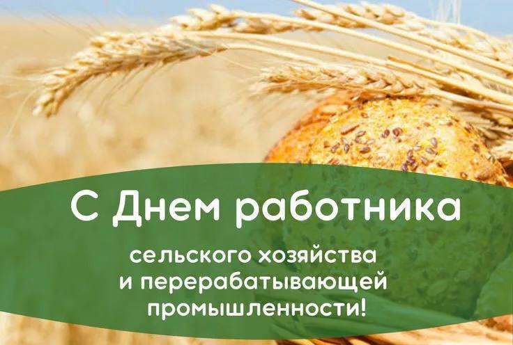 Сегодня - День работника сельского хозяйства и перерабатывающей промышленности