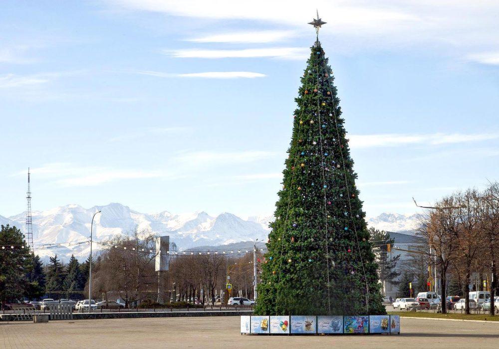 Ярмарка выходного дня в Нальчике работает в предновогоднем режиме