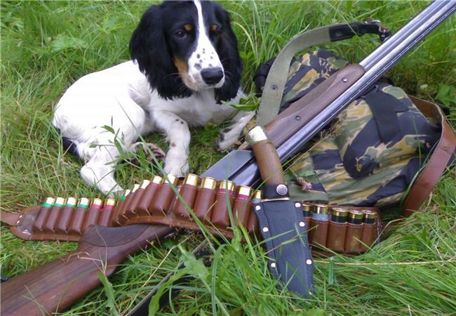 Сезон охоты 2024/2025